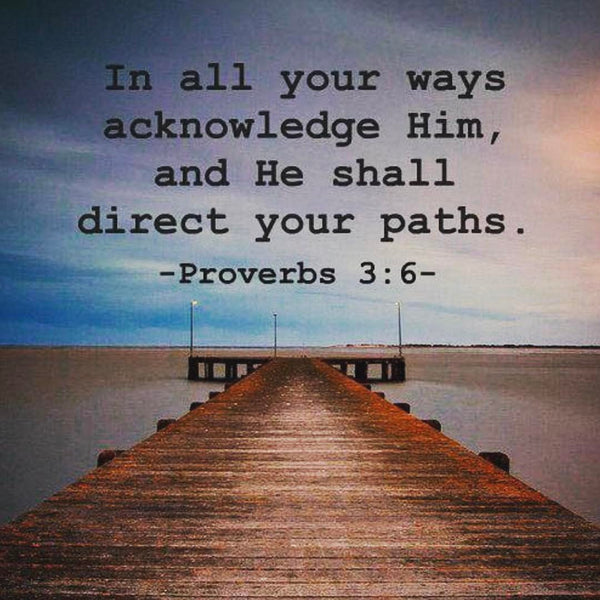 Acknowledge Him, and he'll direct your paths ~ Proverbs 3:6